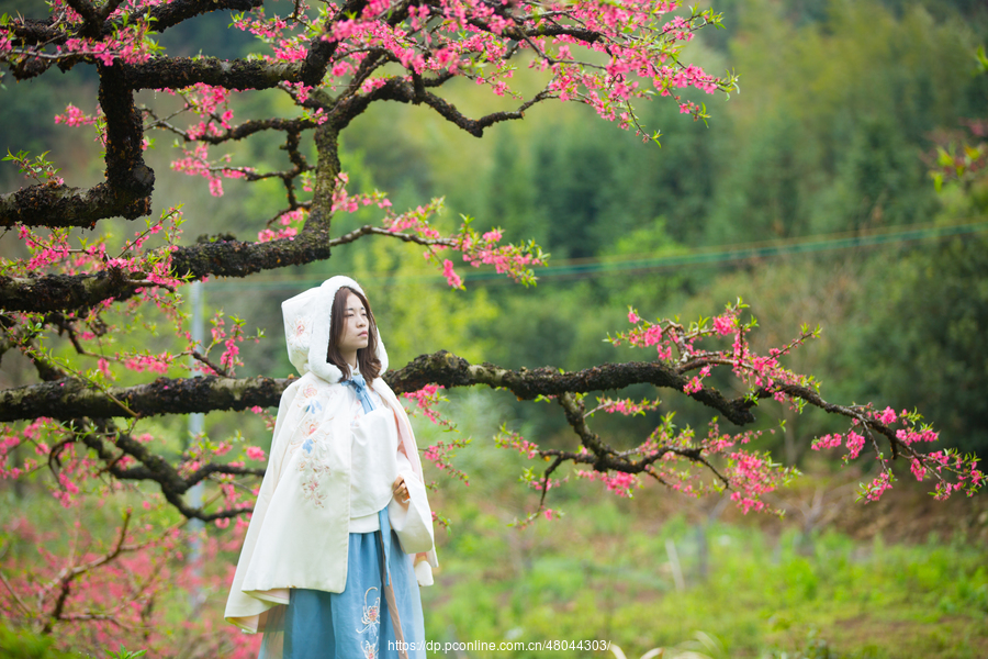 春风拂面来,十里桃花开