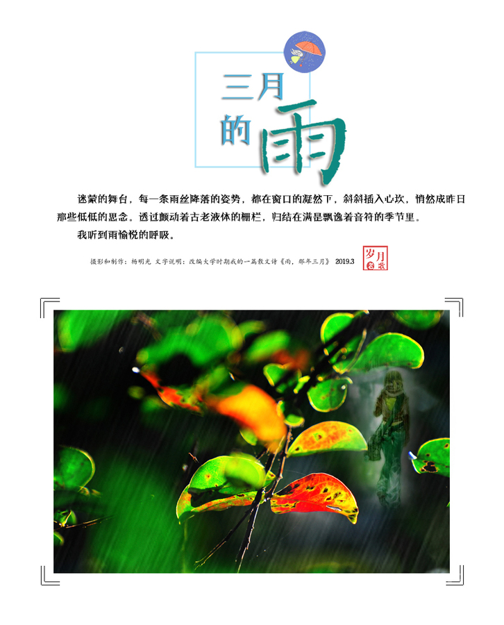 【三月的雨摄影图片】生态摄影