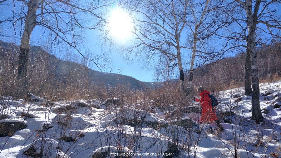 穿林海,跨雪原(二)