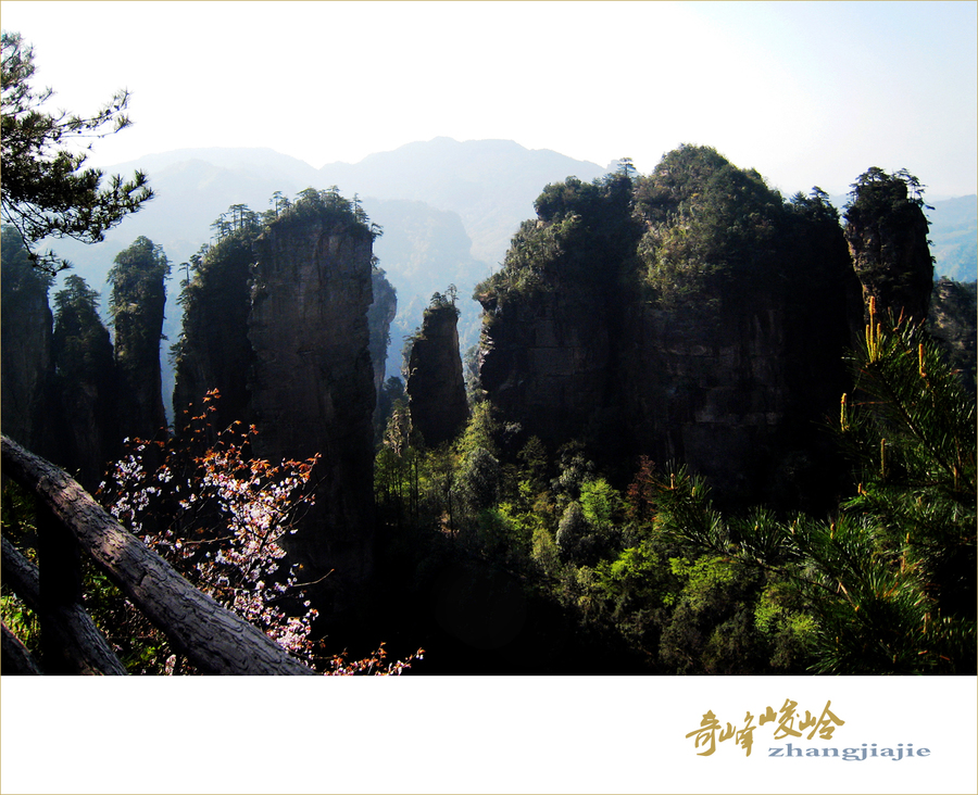 奇峰峻岭-张家界