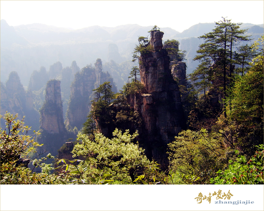 奇峰峻岭-张家界