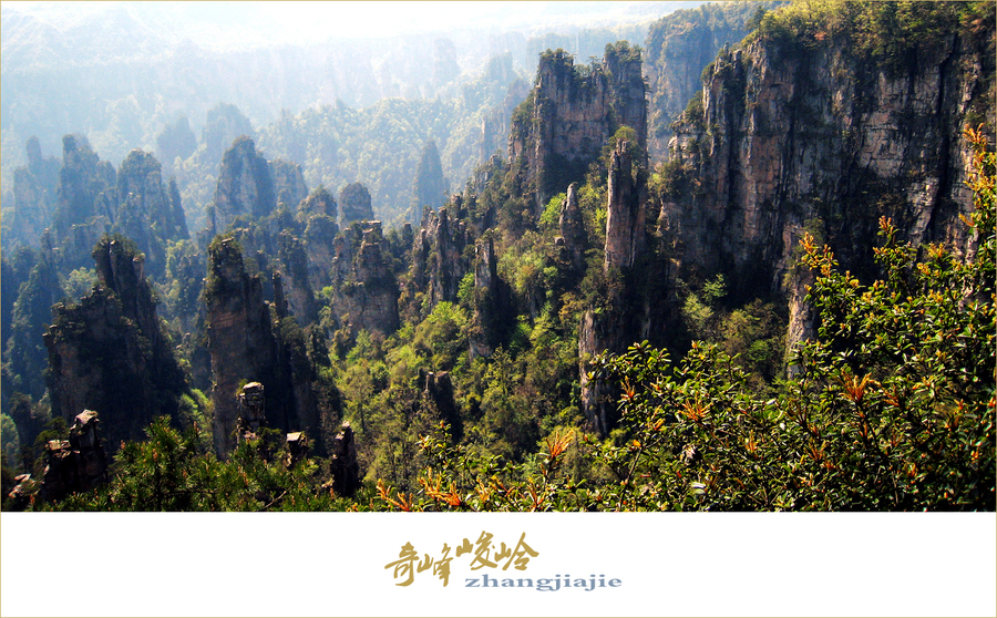 奇峰峻岭-张家界