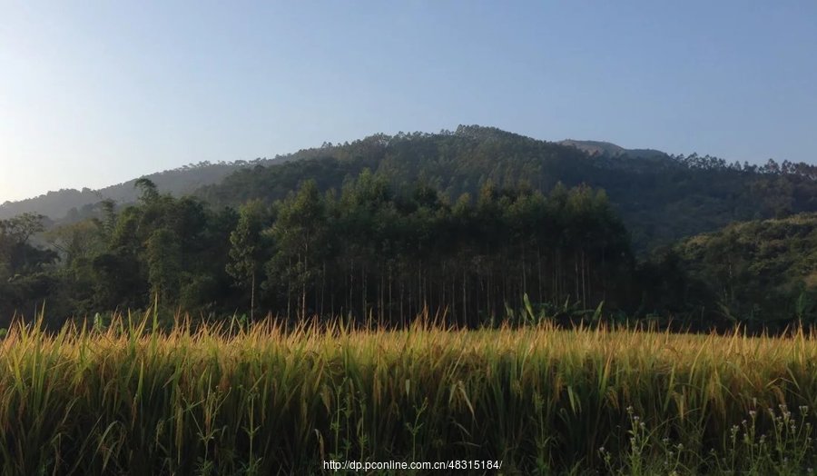 玉林寒山岭风光 (共p)