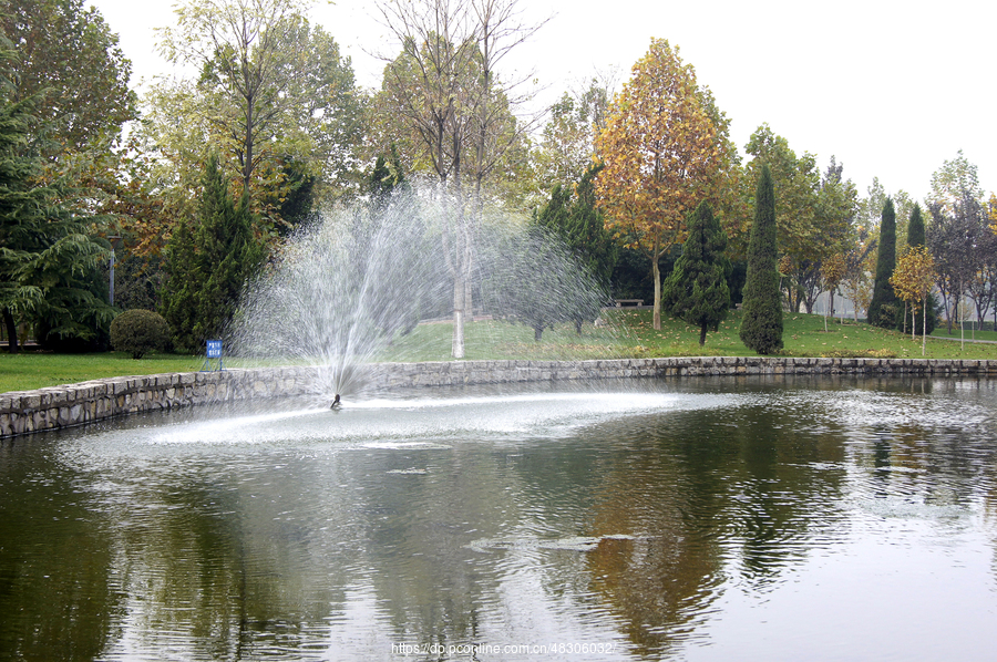 世纪公园水上开屏喷泉 (共 31 p)