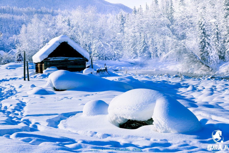 蜂摄天下——新疆雪景,白雪皑皑中的静寂之美