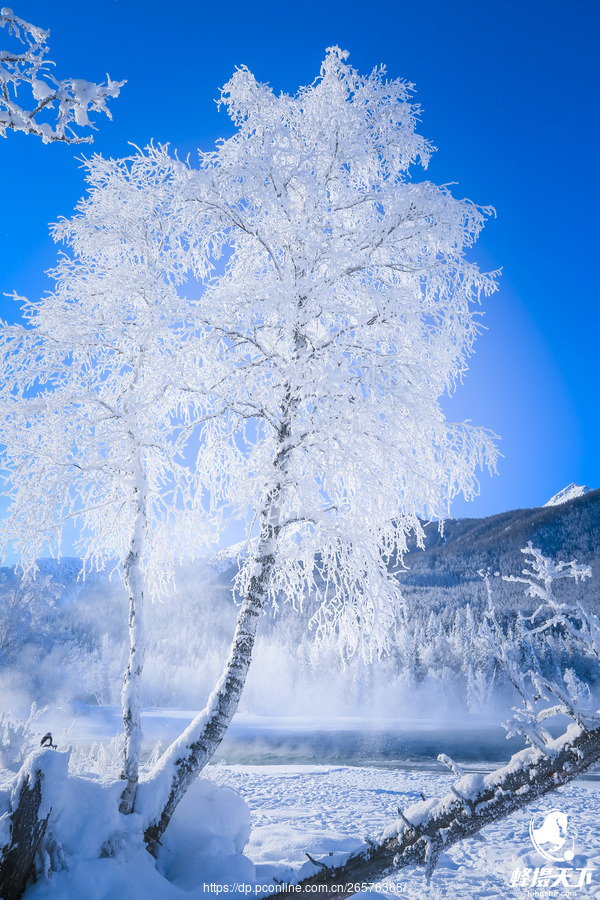 蜂摄天下——新疆雪景,白雪皑皑中的静寂之美