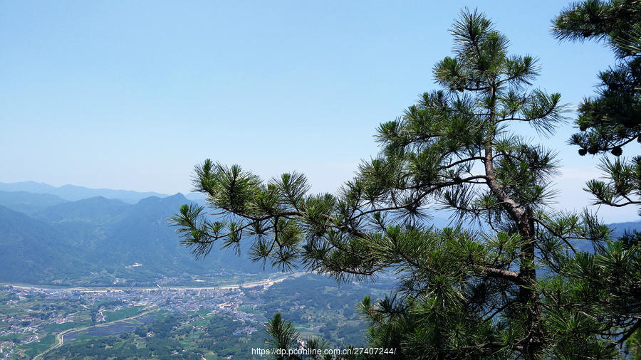 司空山苍松翠柏