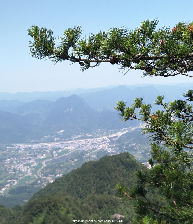 司空山苍松翠柏