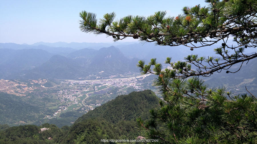 司空山苍松翠柏