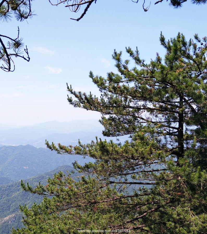 司空山苍松翠柏