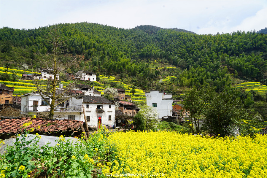 婺源县龙池汰村