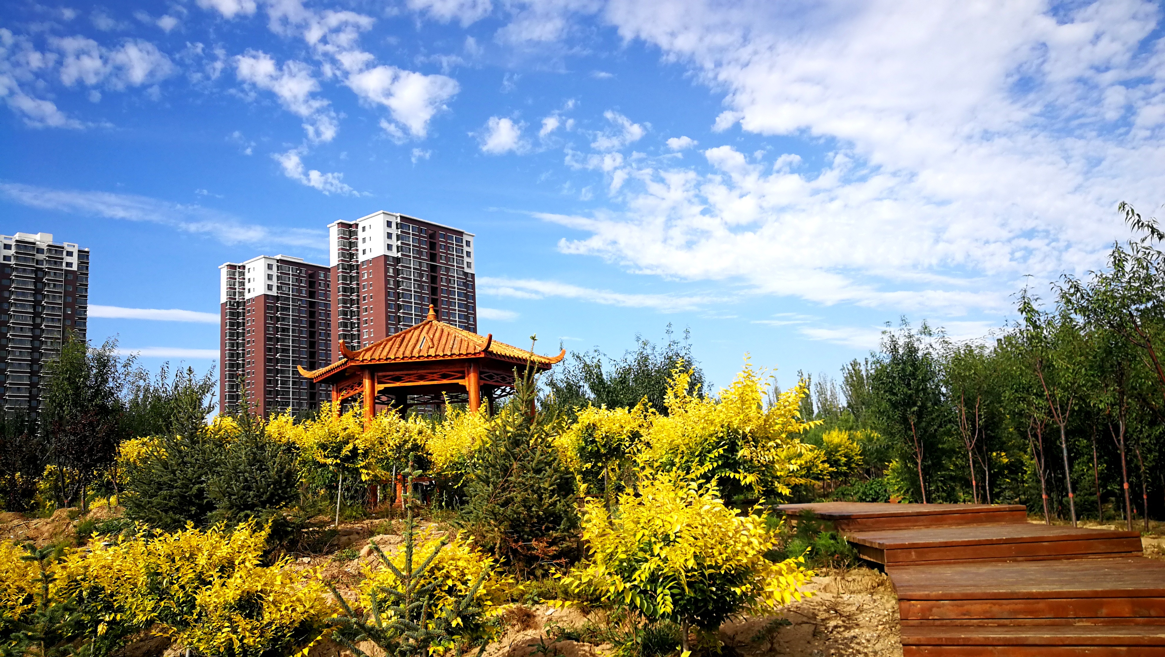 小区美景