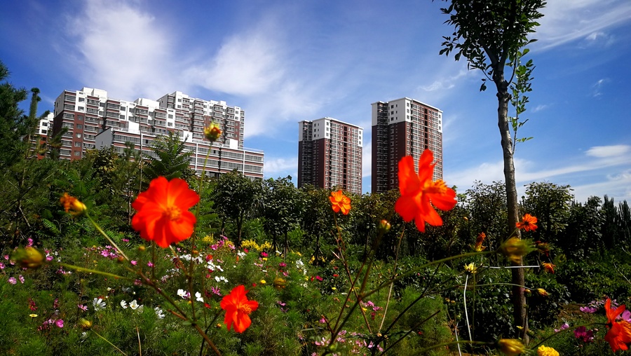 小区美景