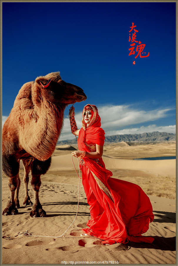 【沙漠骆驼摄影图片】人像摄影_太平洋电脑网摄影部落