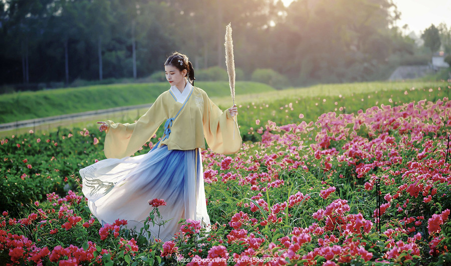 花海琴声