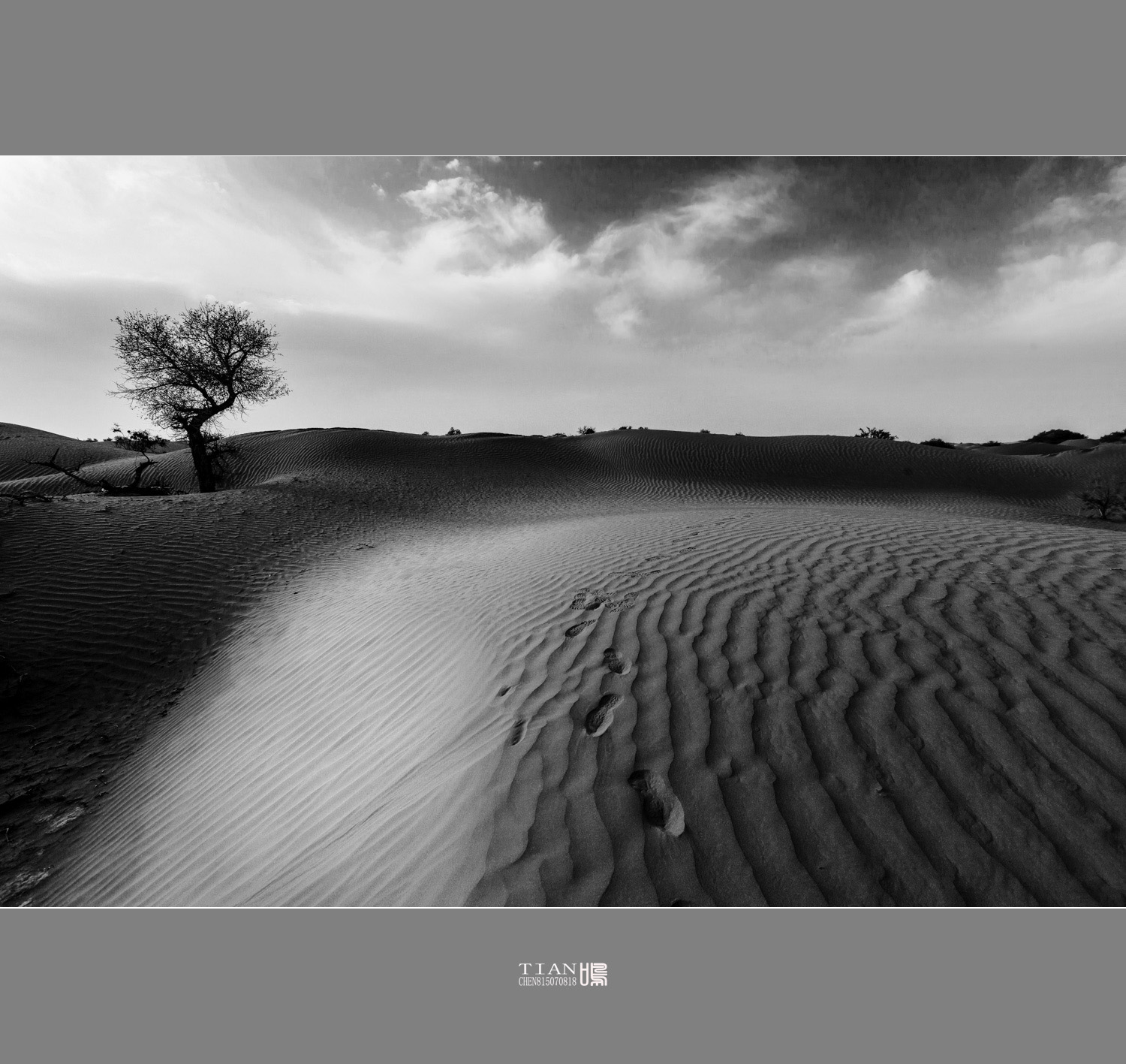印尼沙漠黑白艺术图片