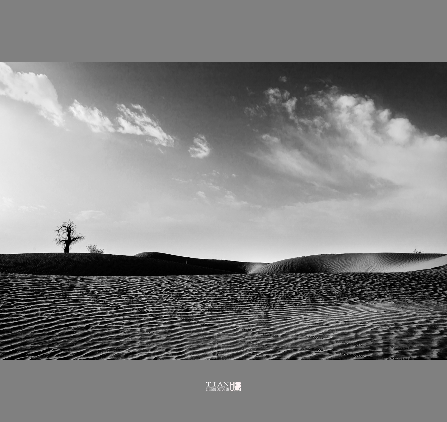 【塔克拉玛干沙漠【黑白】摄影图片】风光摄影_天鸣视界_太平洋电脑网摄影部落