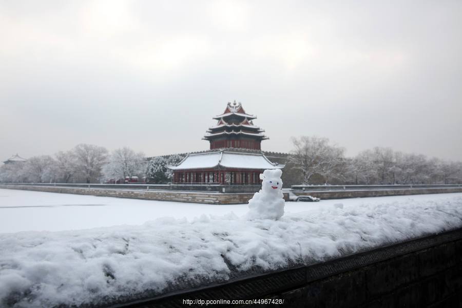 2020年北京第二场雪 (共 65 p)