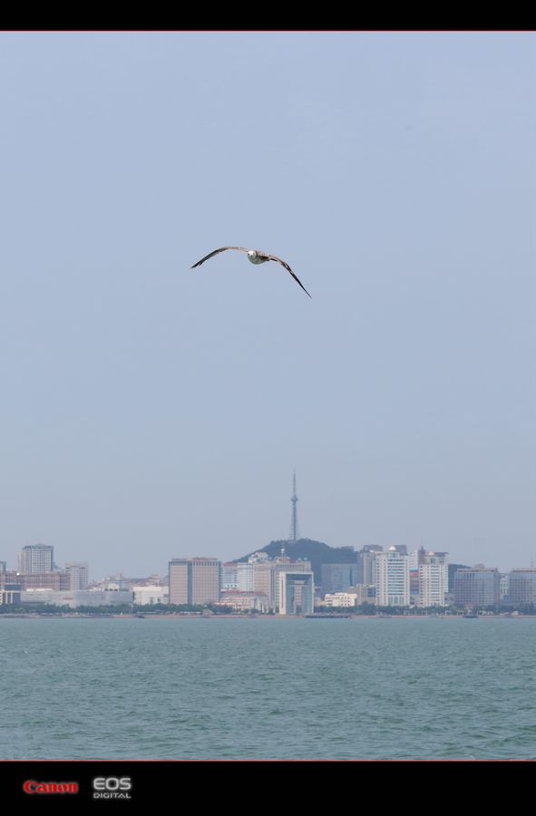 威海不一样的海景