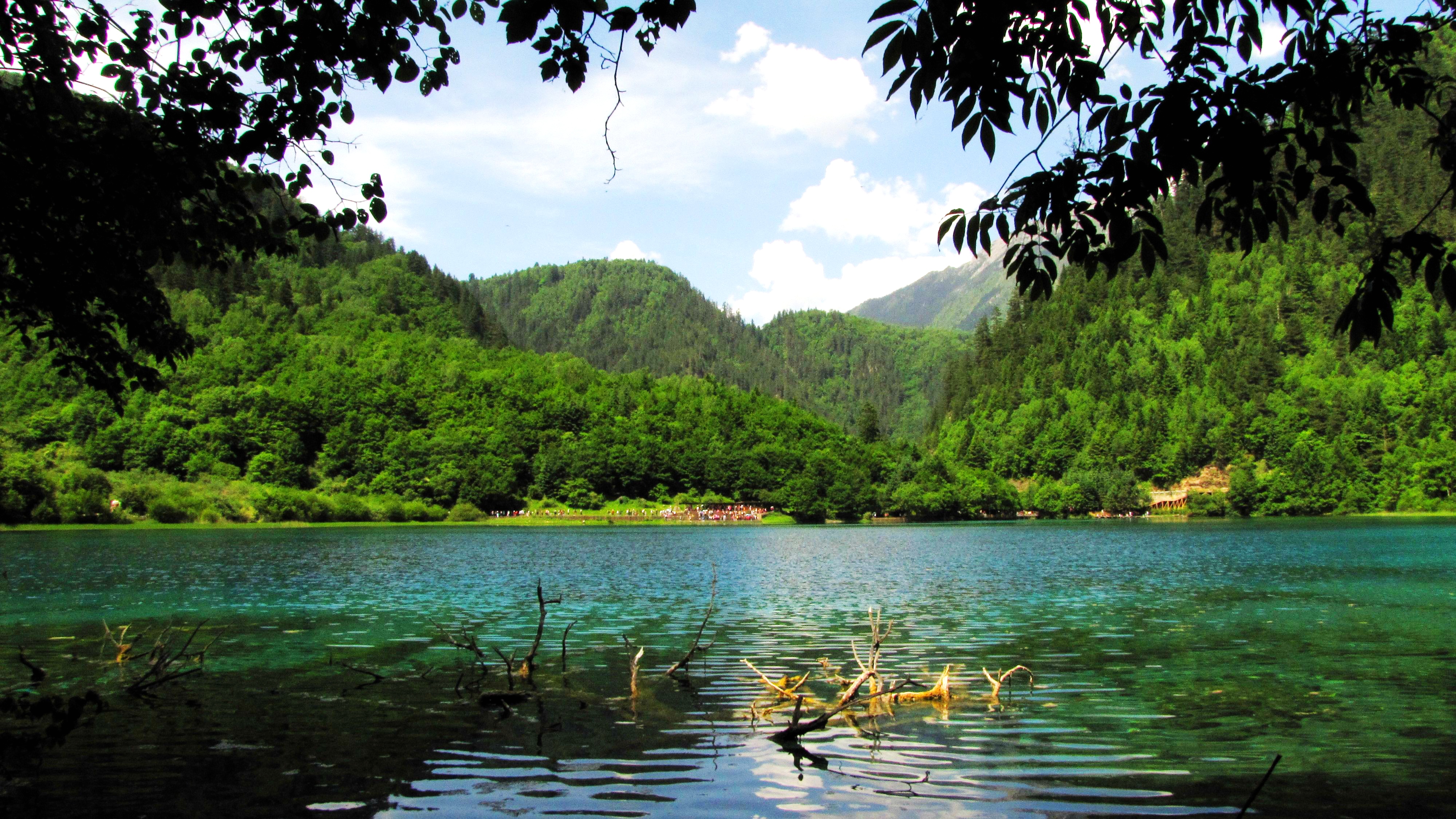 九寨沟夏景