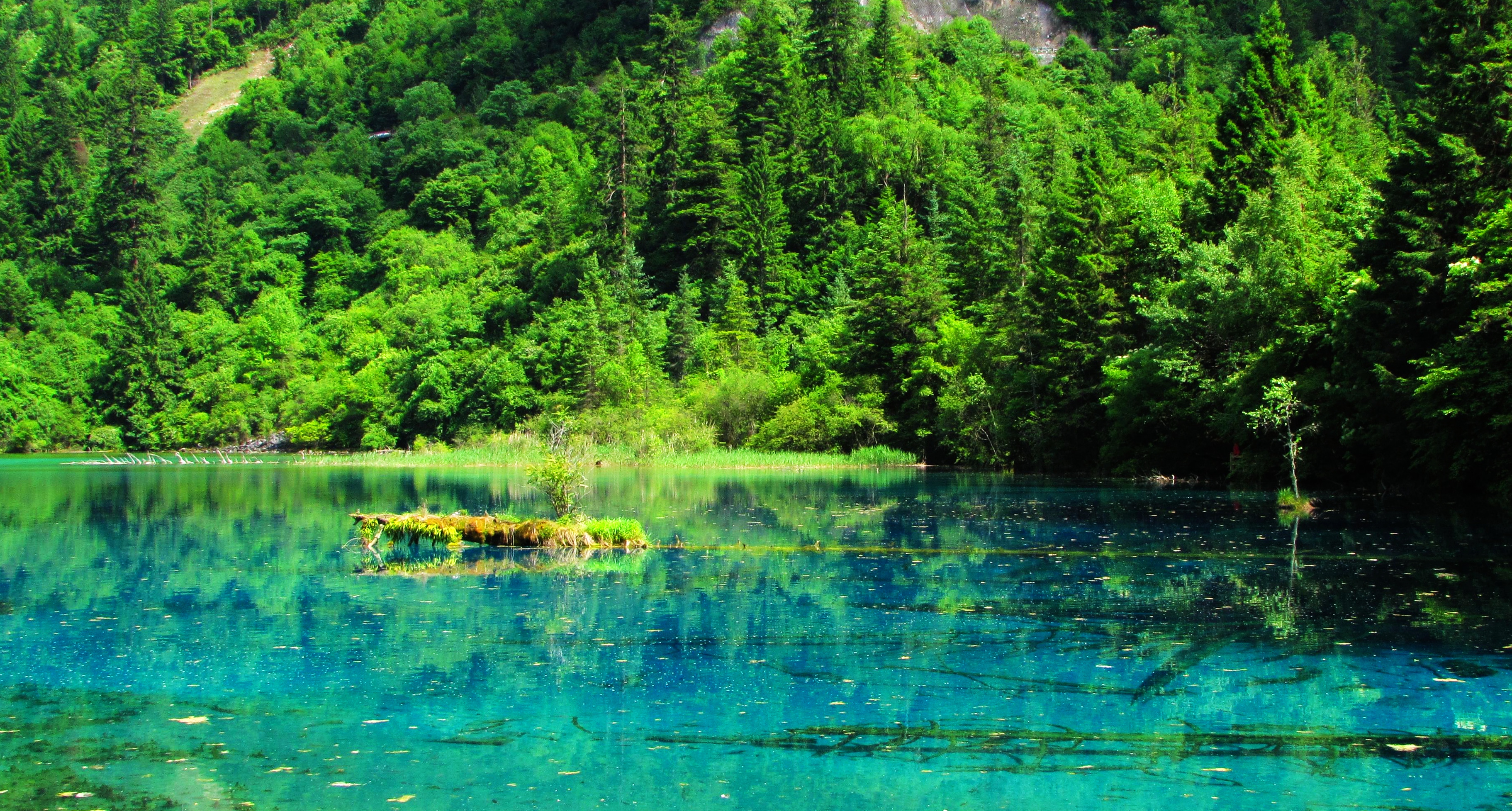 九寨沟夏景