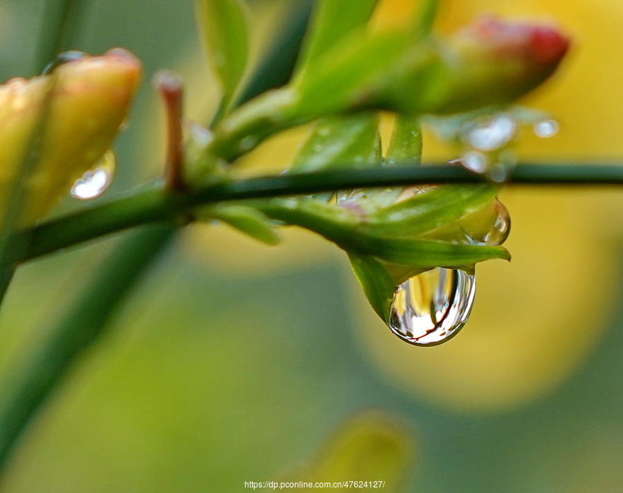 小雨滴