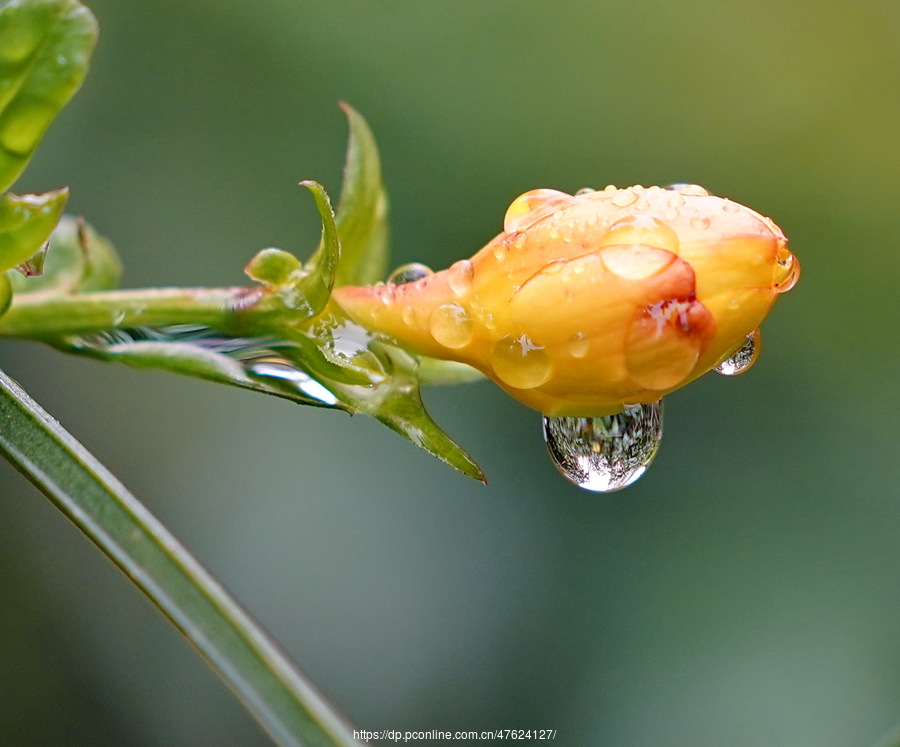 小雨滴