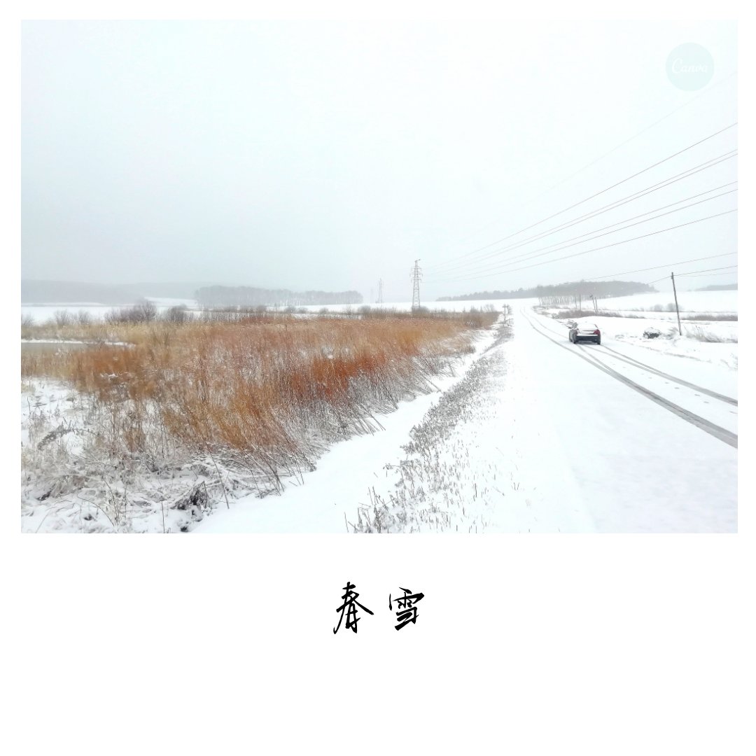 春雪|摄影|风光摄影|pear1103 - 原创作品 - 站酷 (ZCOOL)