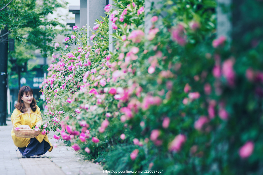 【外景人像】花颜