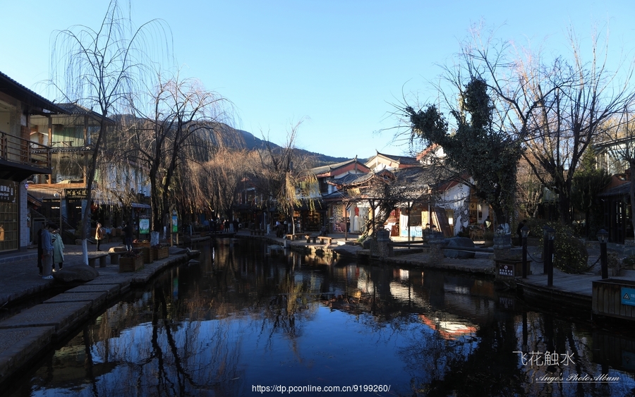 束河记忆:飞花触水