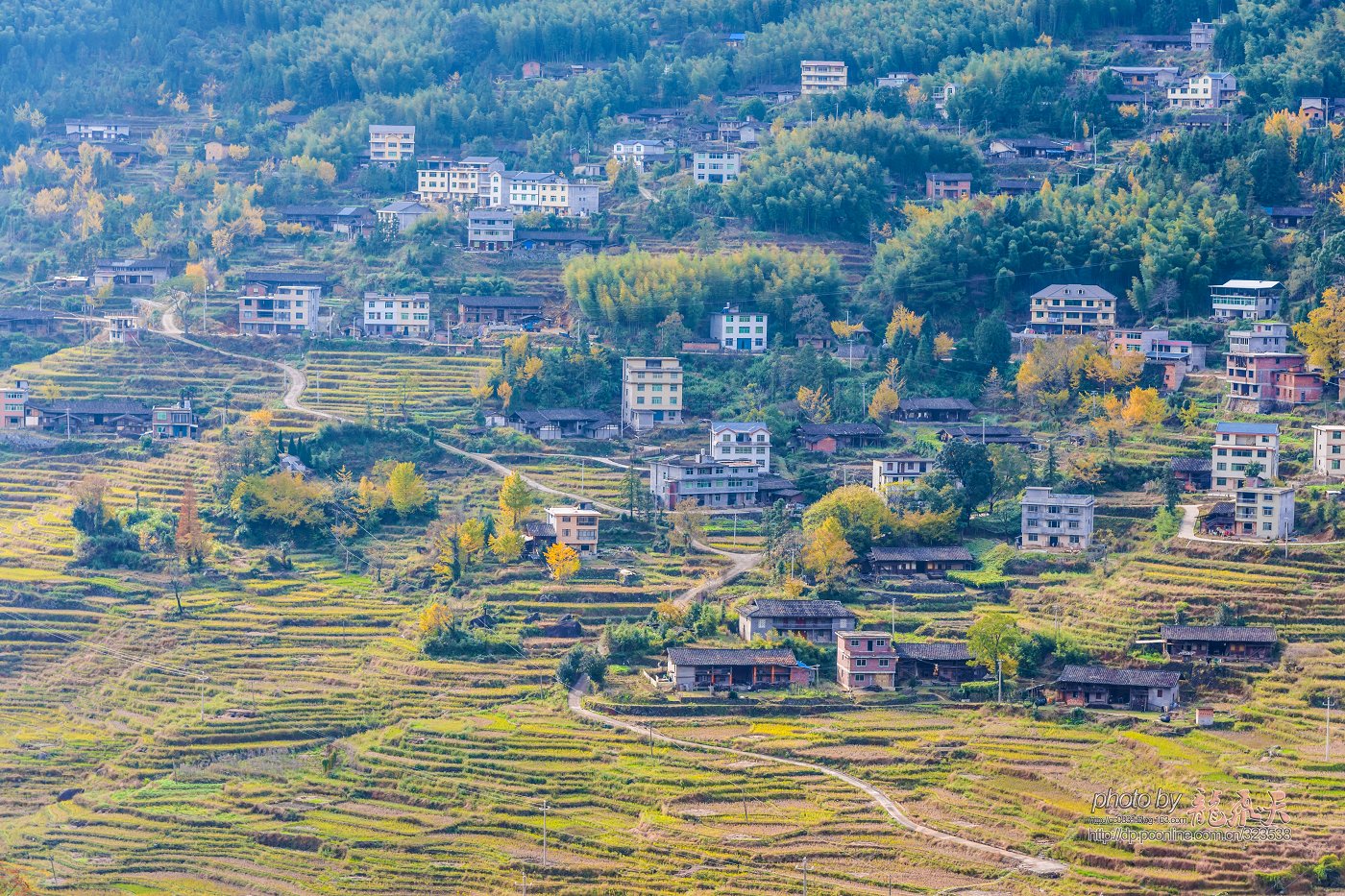 尤溪联合梯田