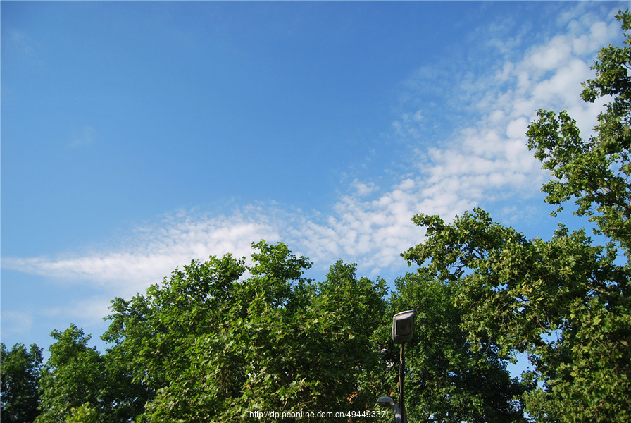 洛阳夏日的天空 (共 26 p)