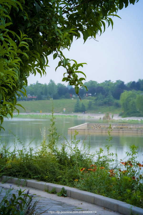 兴平市莽山公园风景