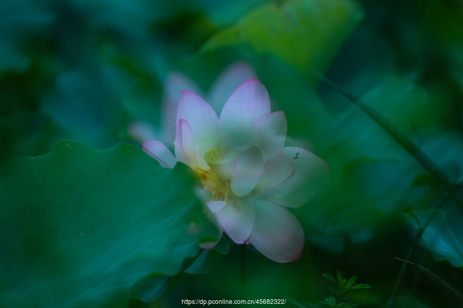 摄影部落