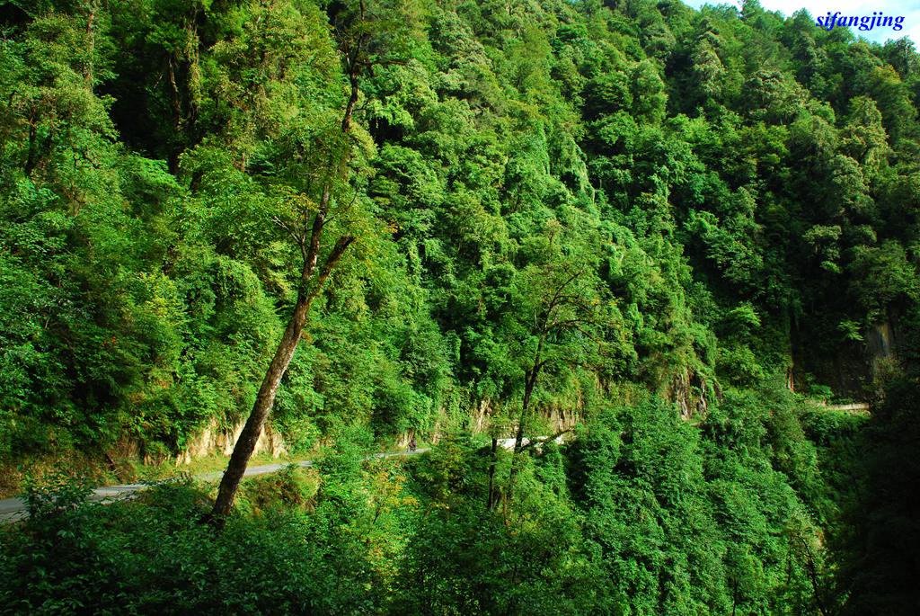 高黎贡山风光