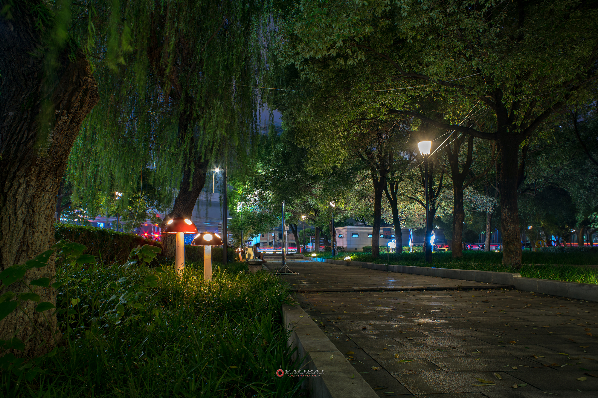 雨后夜景