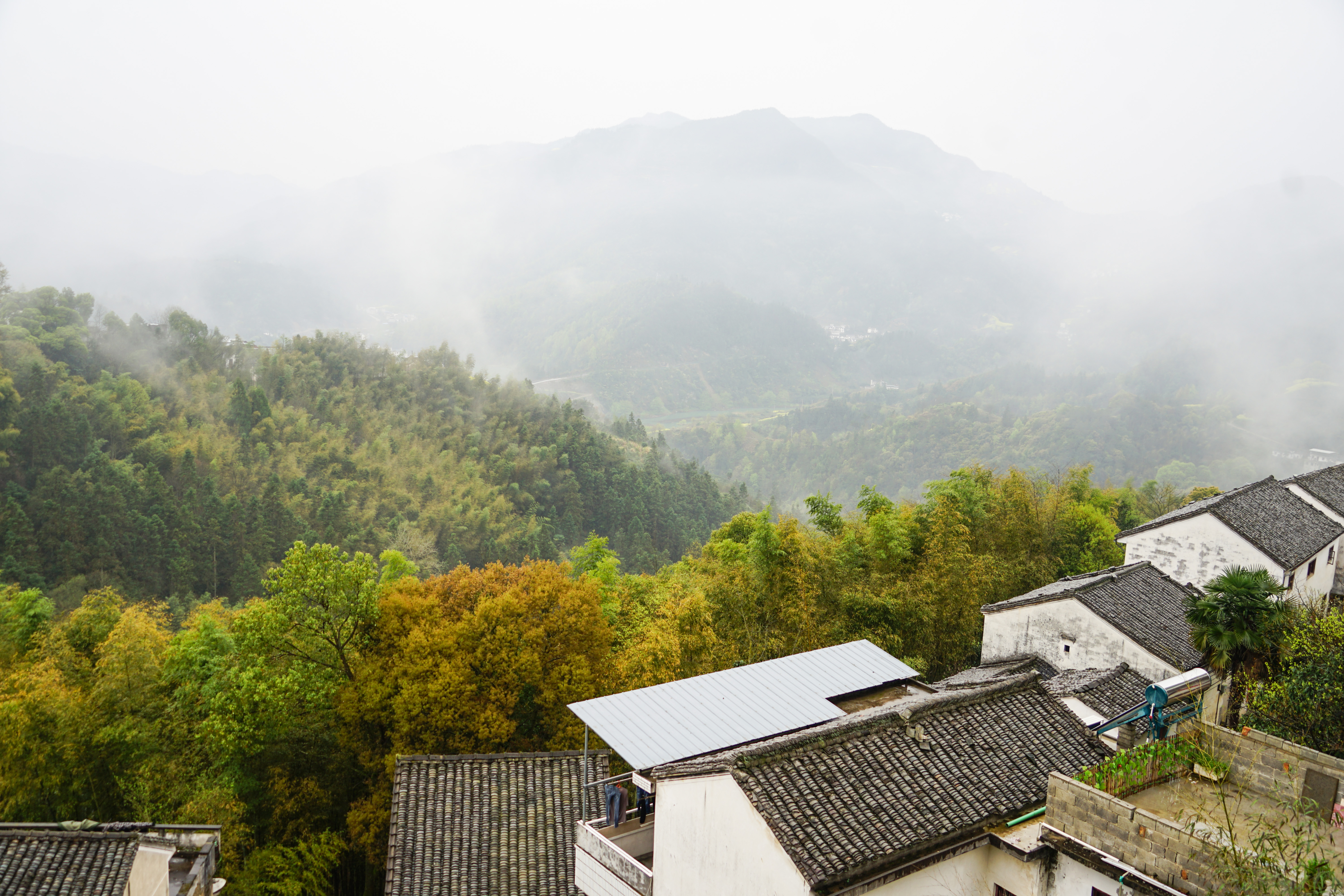 美丽乡村安徽歙县坡山村