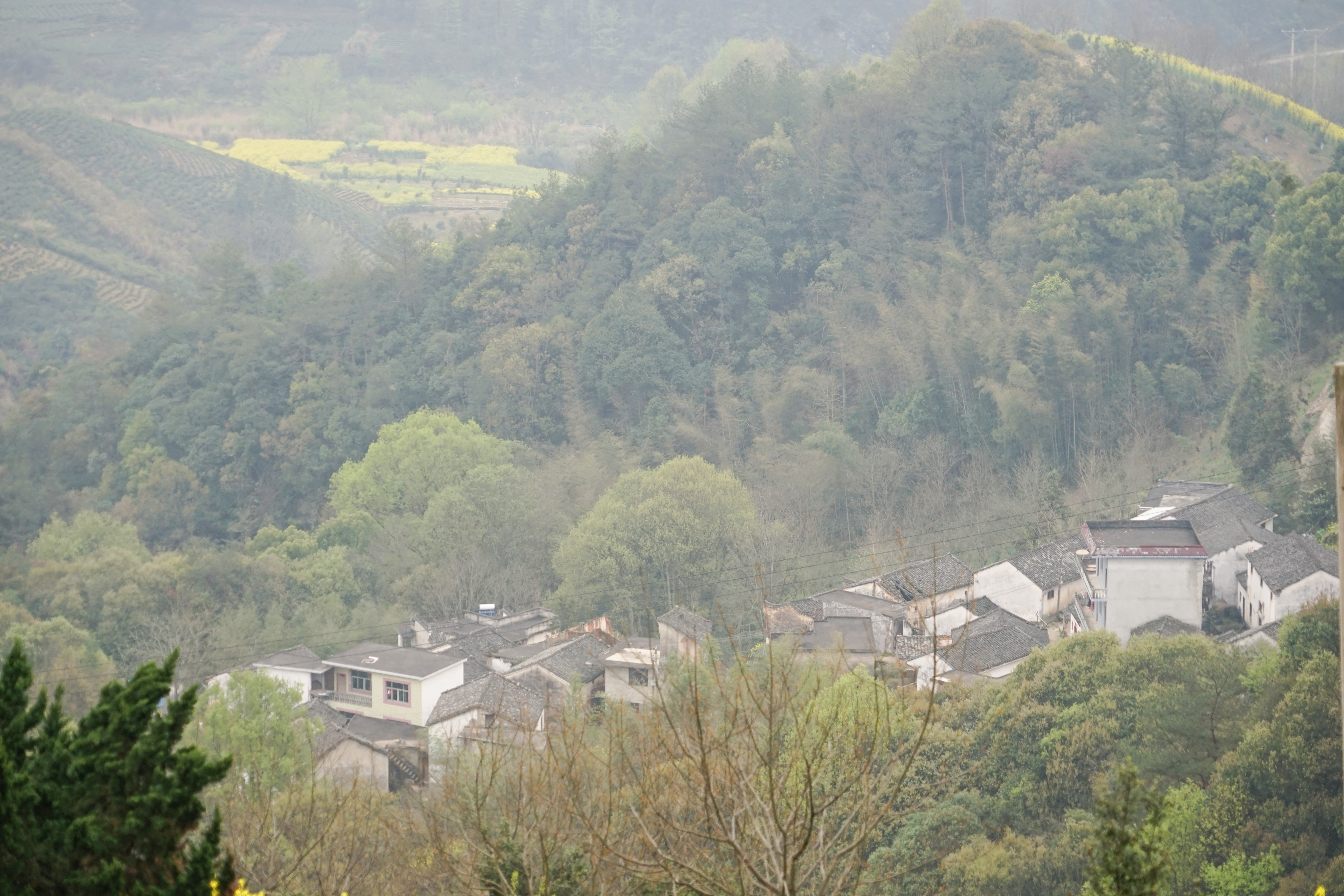 【美丽乡村--安徽歙县坡山村】