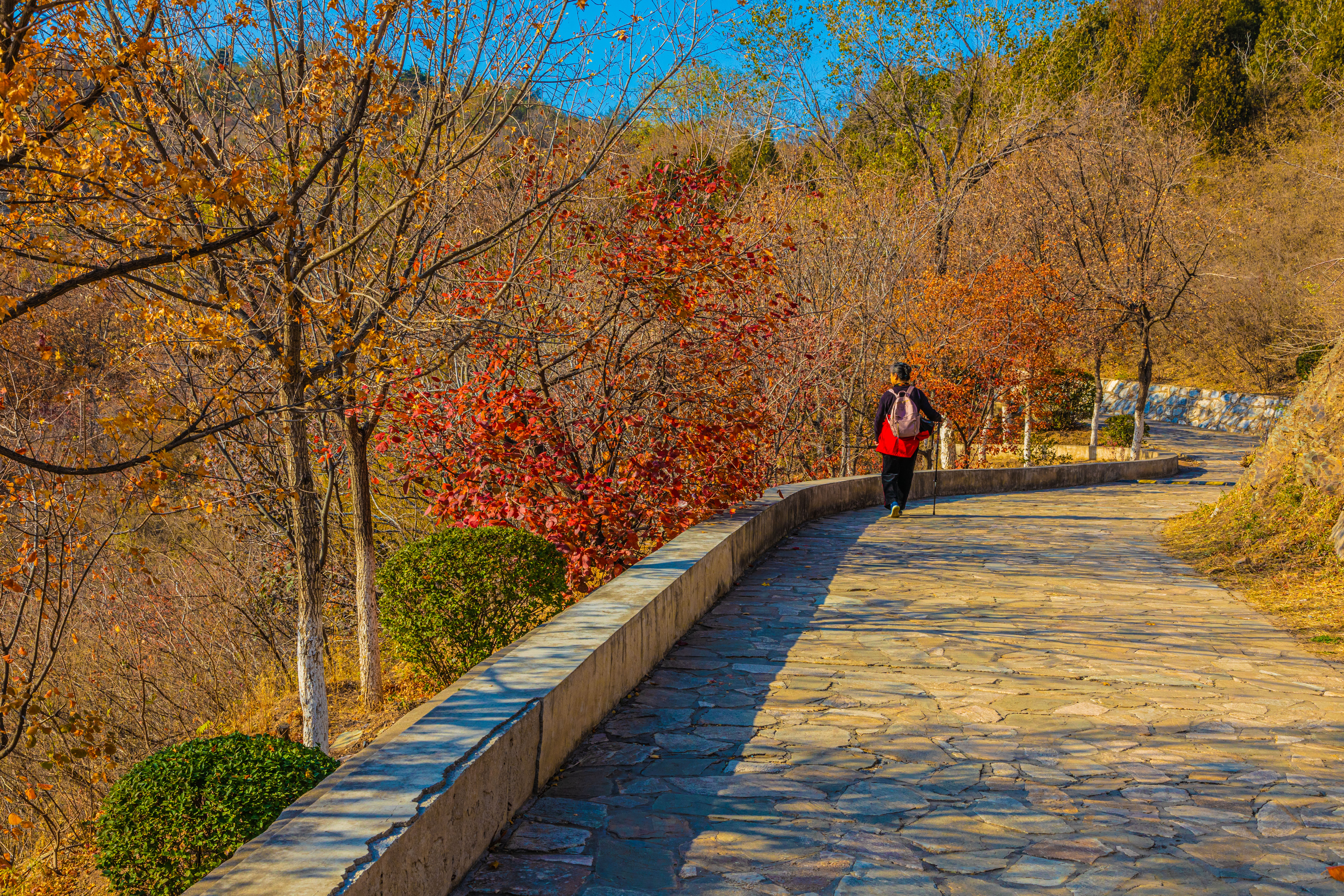 北京北宫国家森林公园秋景