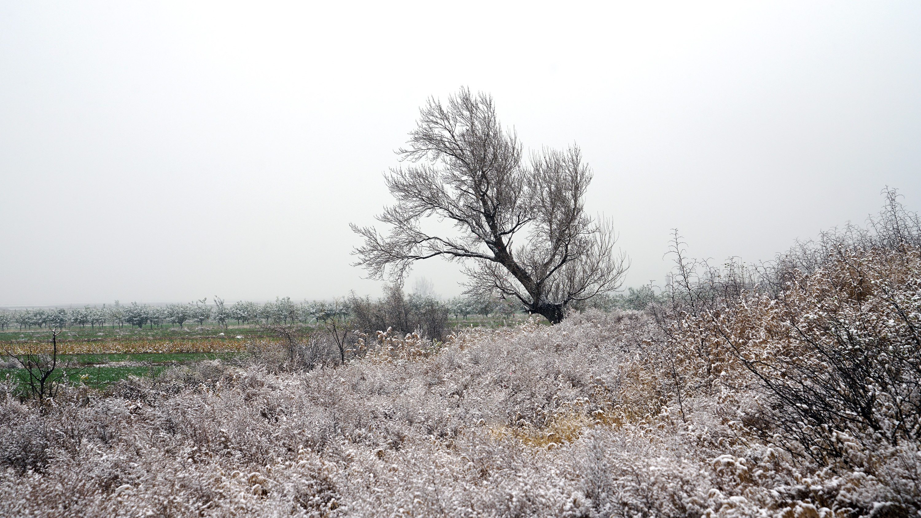 【雪天雪地雪景摄影图片】风光摄影_运城市新闻广告策划有限公司董应