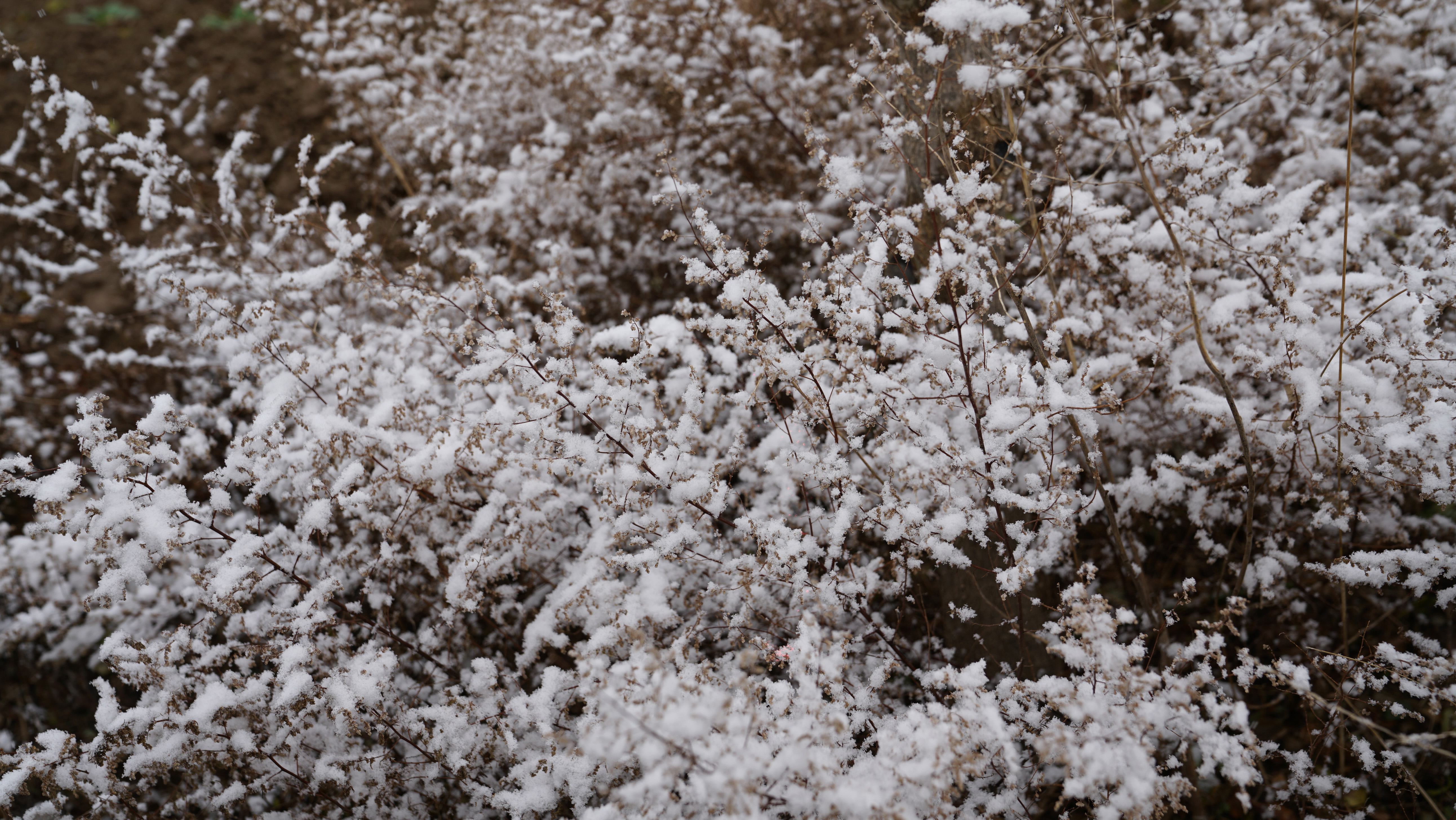 【雪天雪地雪景摄影图片】风光摄影_运城市新闻广告策划有限公司董应