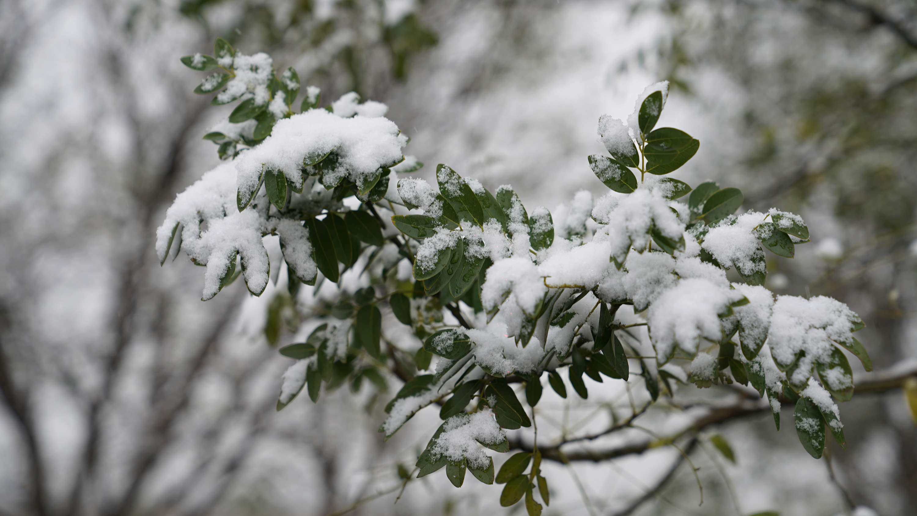 【雪天雪地雪景摄影图片】风光摄影_运城市新闻广告策划有限公司董应