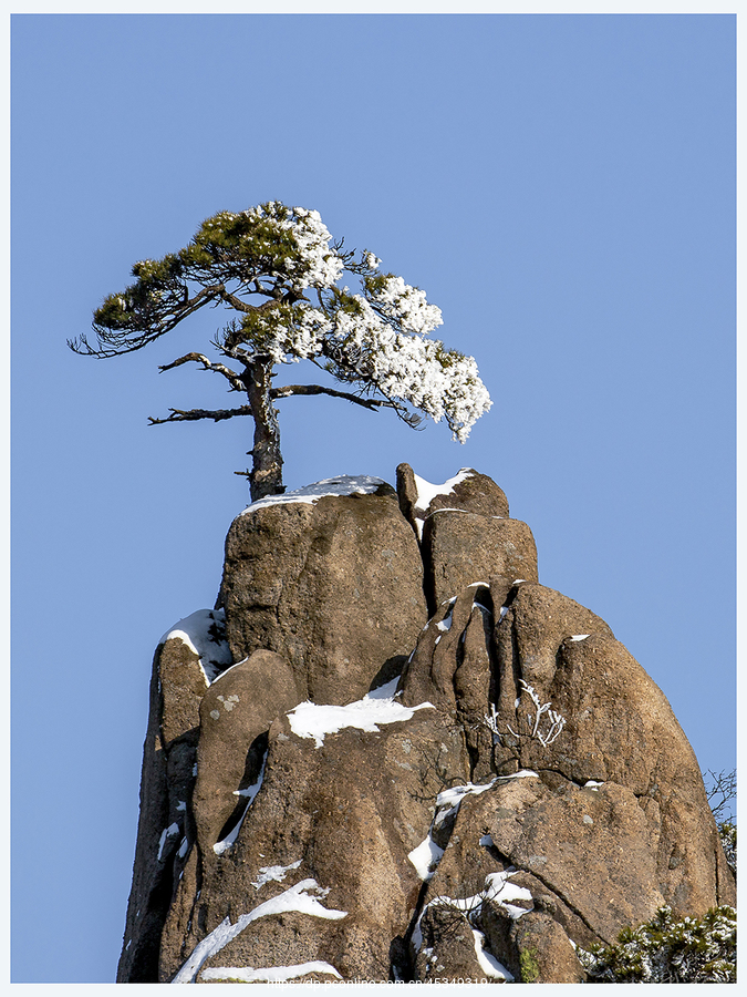 黄山雪景