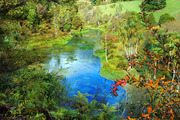 新西兰 · 蓝泉