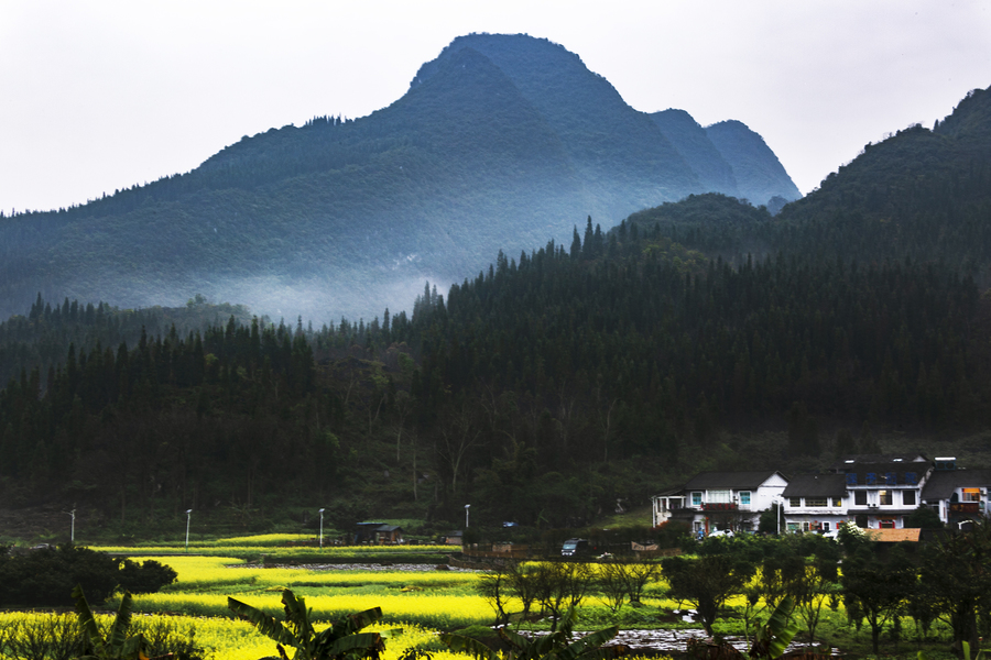 万峰林下的纳灰村