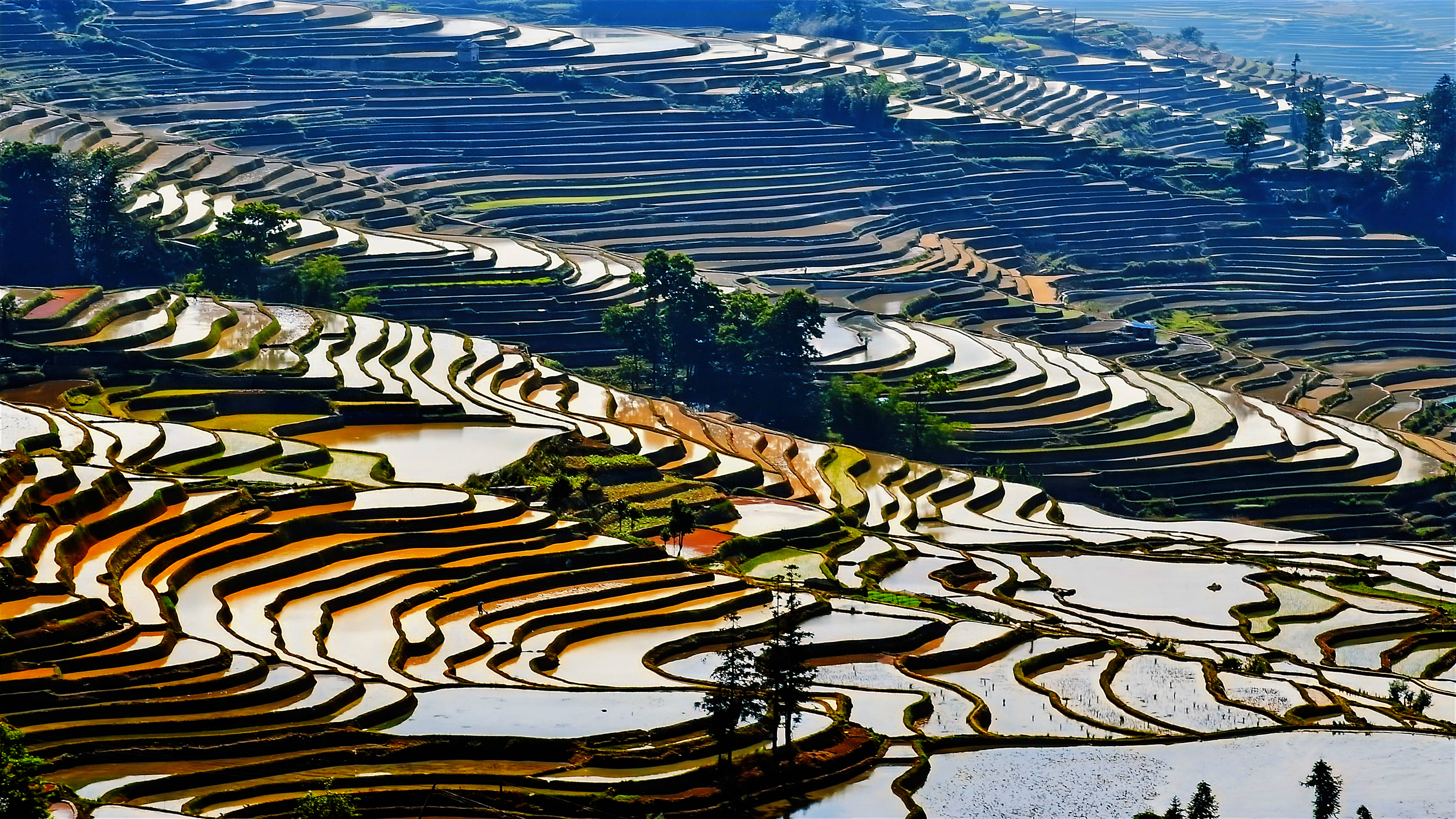 元阳梯田