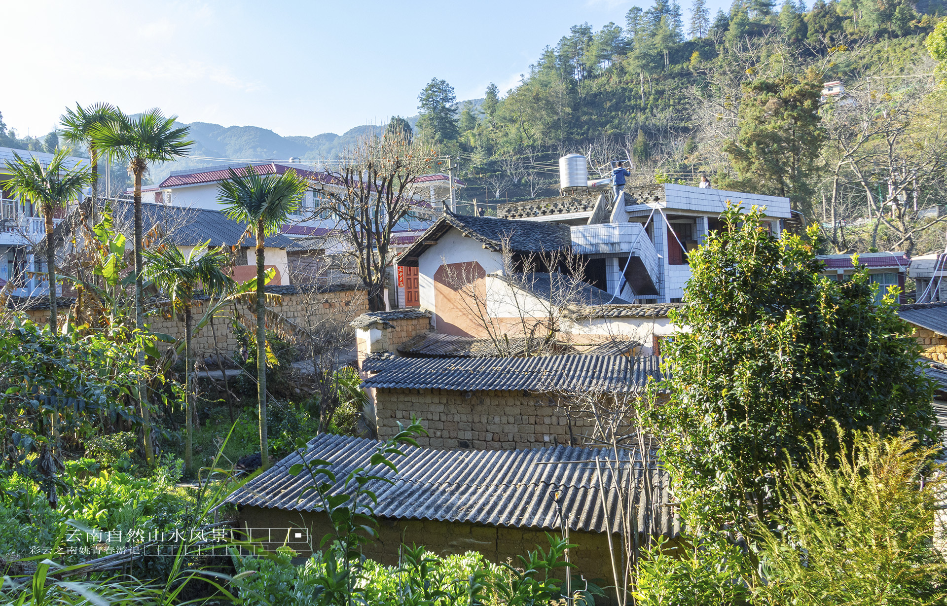 云南省临沧市凤庆县大寺乡德乐村大河姚青春自然风光山水风景