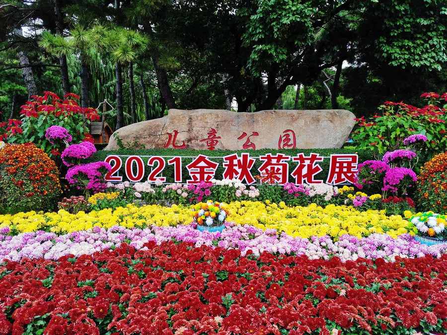 长春菊花展