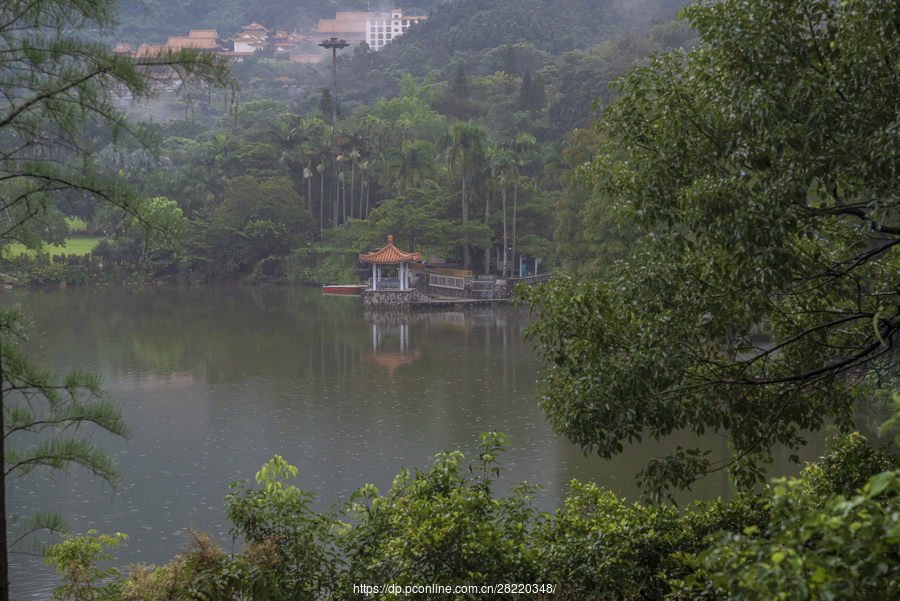 雨霏霏,烟雨濛,醉仙湖.