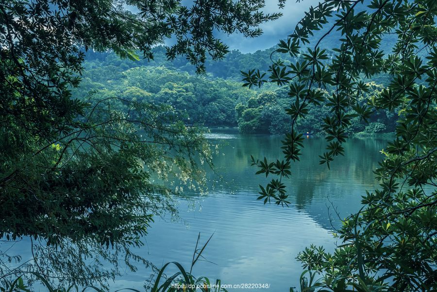 雨霏霏,烟雨濛,醉仙湖.